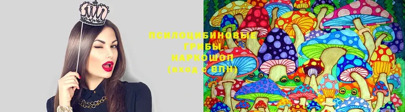 Галлюциногенные грибы мицелий Поворино